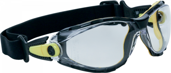 Okulary ochronne Delta Plus PACAYA CLEAR STRAP