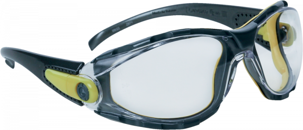 Okulary ochronne Delta Plus PACAYA CLEAR